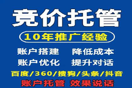 SEM推广案例：从无到有的转变
